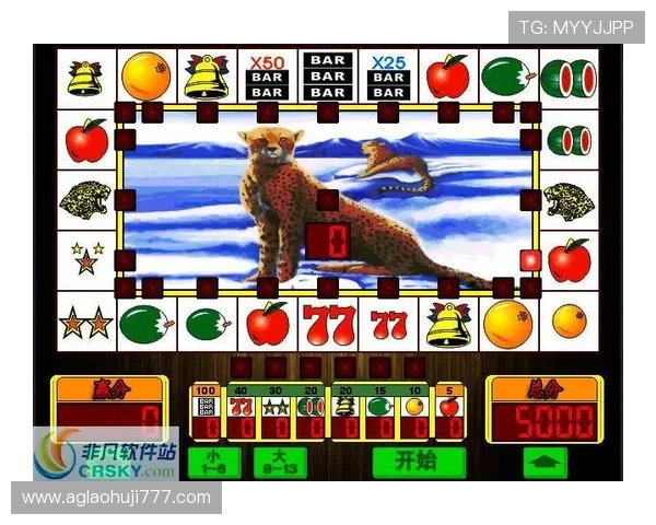 雪豹老虎机手机版下载优惠活动，丰富奖励等你来领取