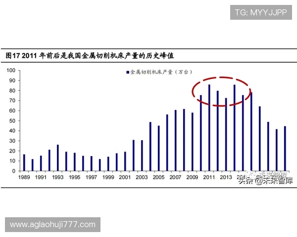多福多彩老虎机的历史发展与未来趋势深度分析带你了解行业动态