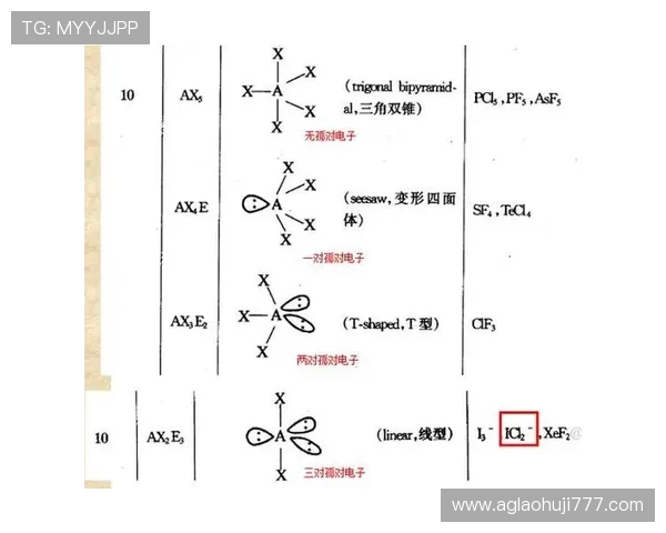 深入理解PT2+的价电子构型对化学反应机理研究的影响与应用